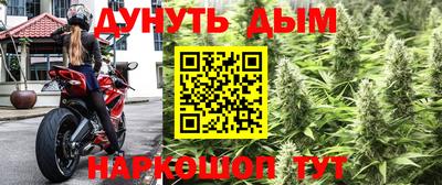 Альфа ПВП Ипатово