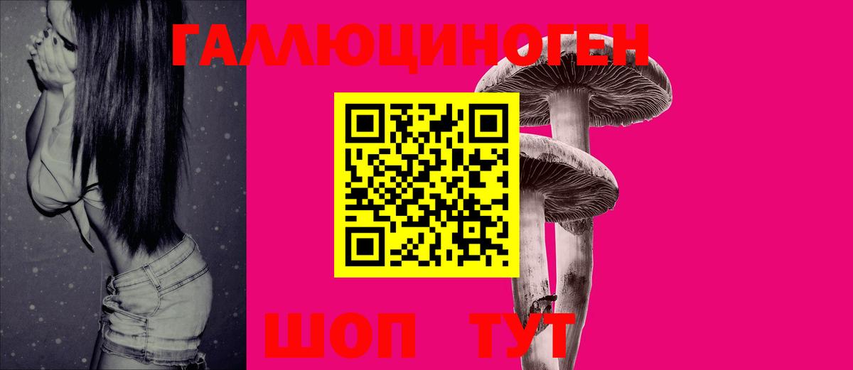 Псилоцибиновые грибы Psilocybe  Вход с VPN  закладки  Лесной 